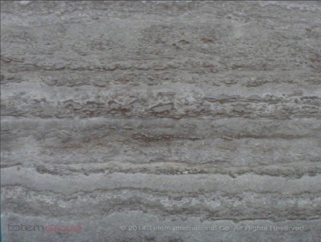 TGTR 312 - Silver travertine (Gray )